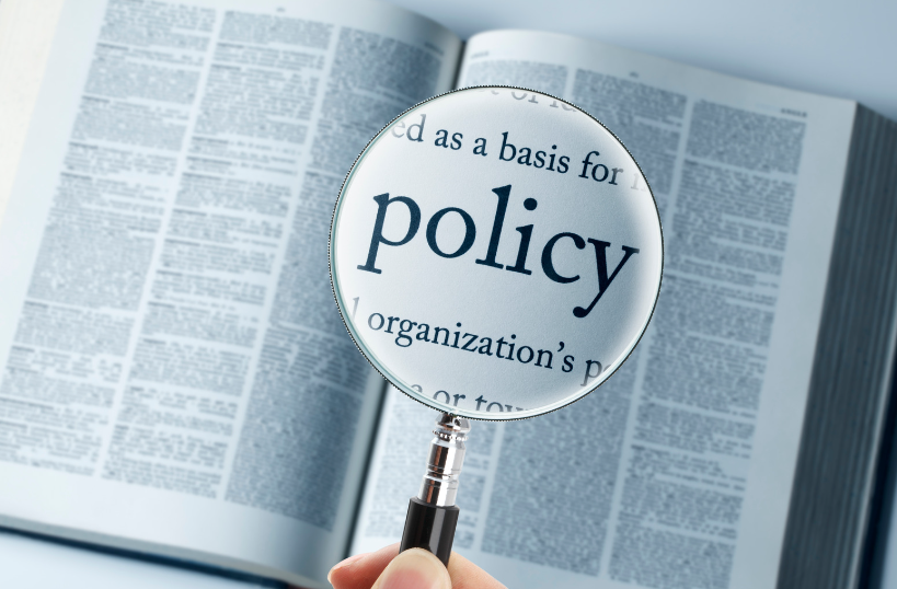policy-government